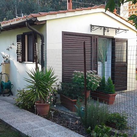Da Lilly Apartment Lucca Eksteriør billede