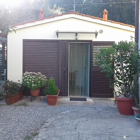Da Lilly Apartment Lucca Eksteriør billede