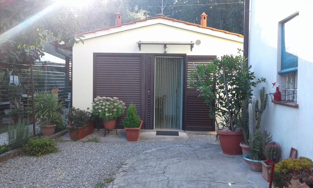 Da Lilly Apartment Lucca Eksteriør billede